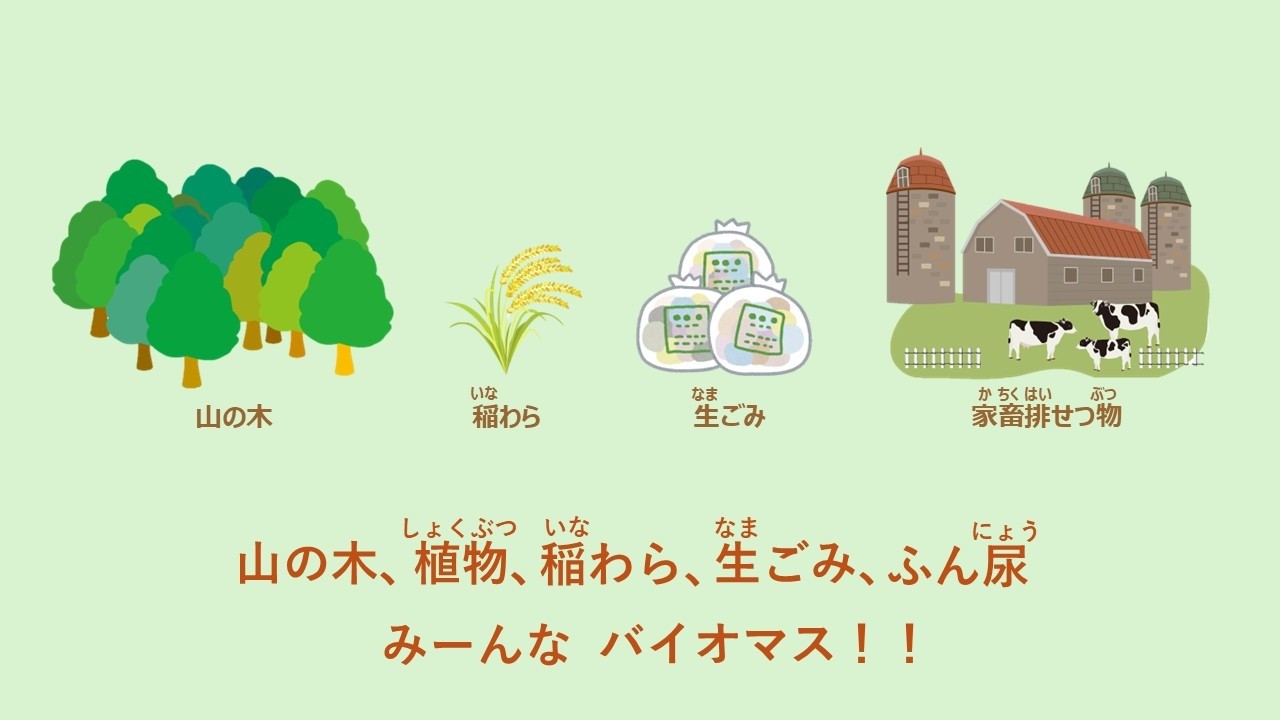 バイオマスって知ってる？