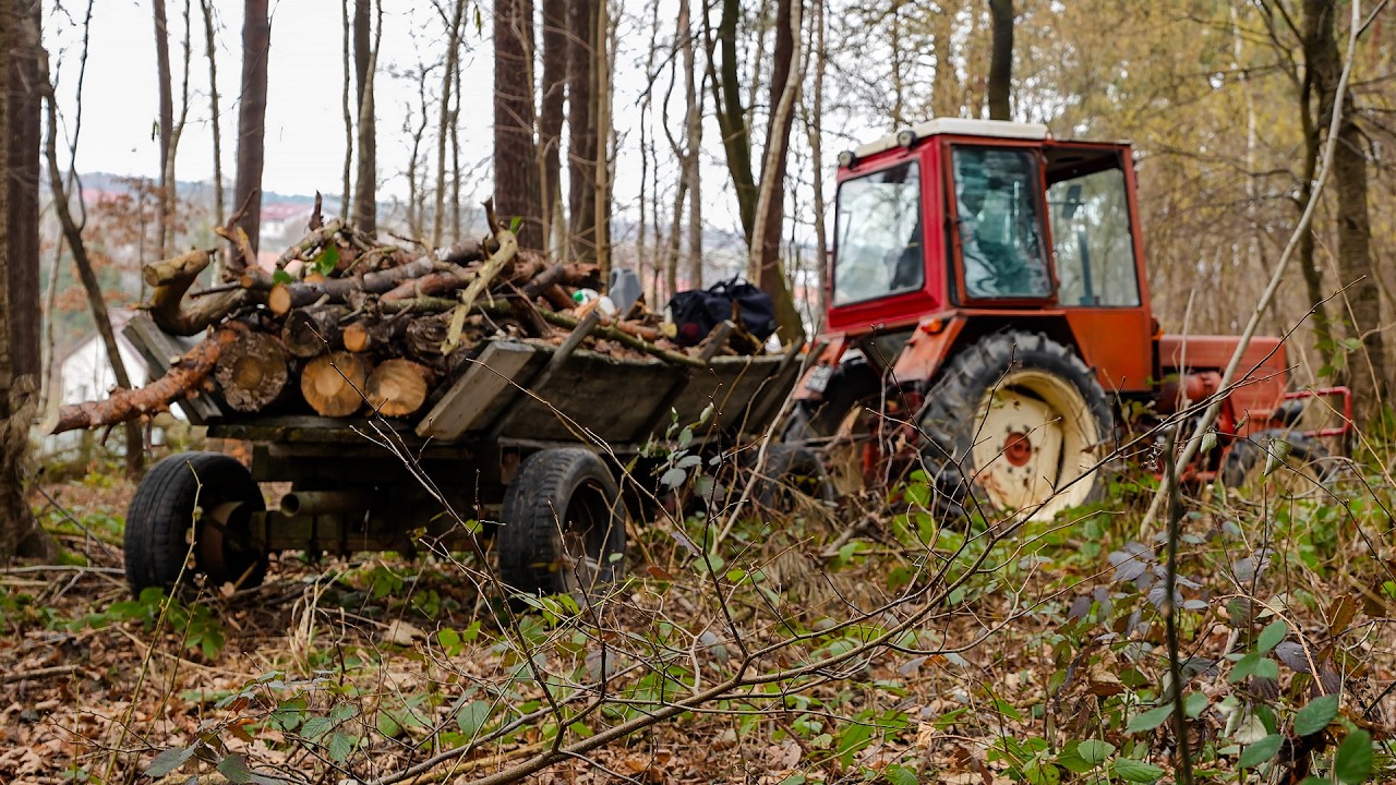 PORZĄDKI W LESIE – OCZYWIŚCIE, ŻE COŚ POSZŁO NIE TAK