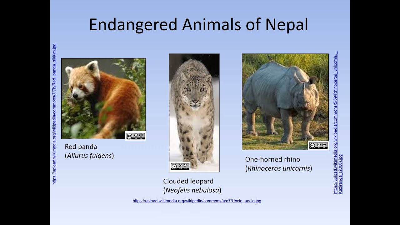 Nepal: A poor country rich in biodiversity