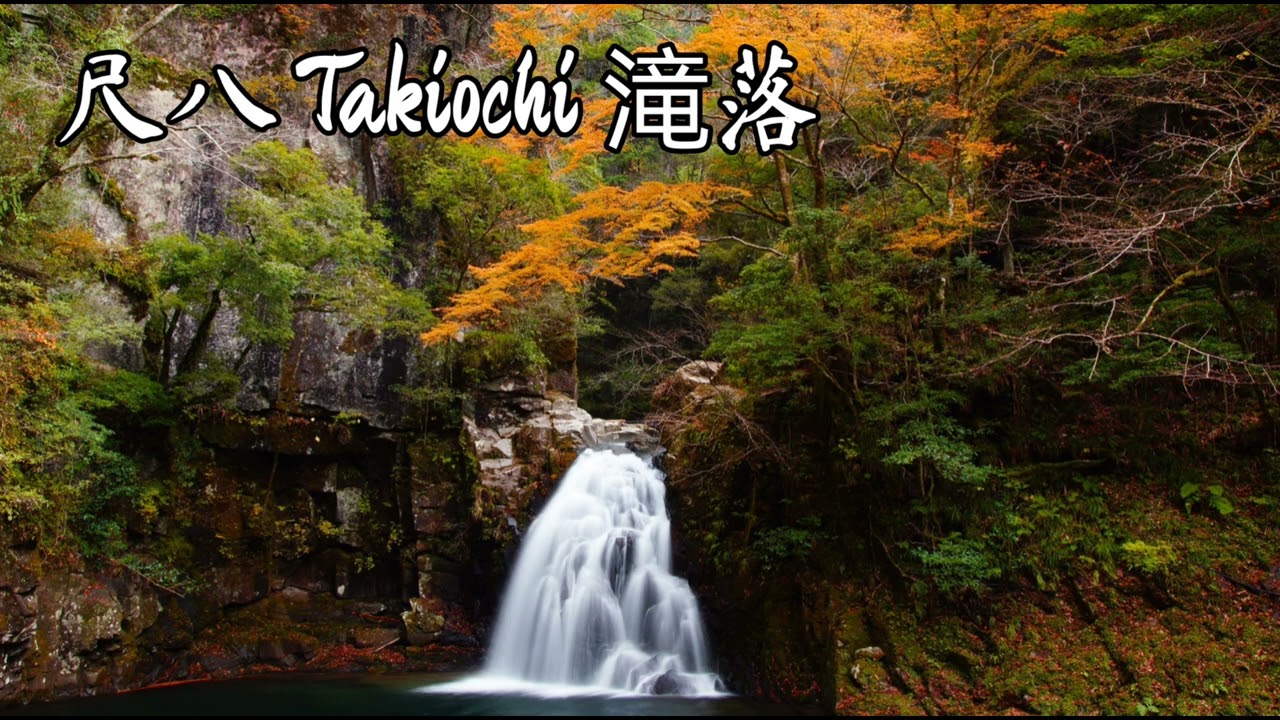 尺八 Takiochi 滝落 🎋 New 1.8 Jinashi Shakuhachi