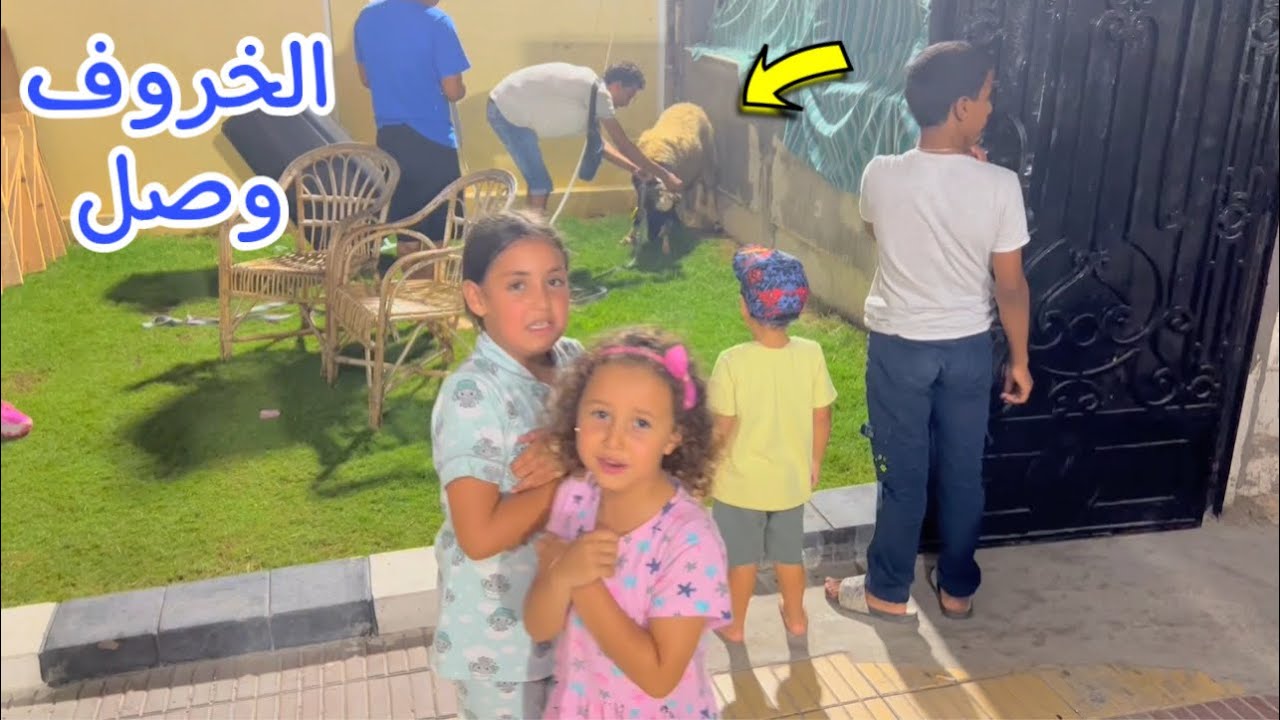 الخروف وصل الاميرة كانت خايفة منة اوي 😂
