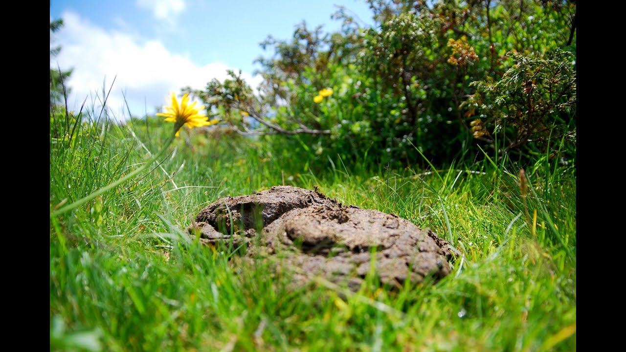 MATRIX FREEDOM - Review ~ Iain Stamp - Iain Clifford - Video #4: Blue Sky Marketing