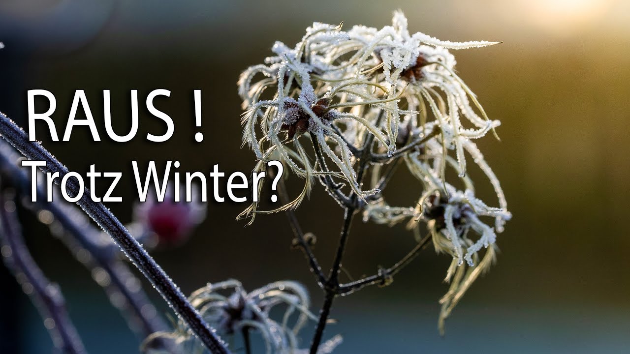 FOTO to GO #9 📸❄️ Motivsuche u Frost im Winter | anschließend Lightroom Bearbeitung