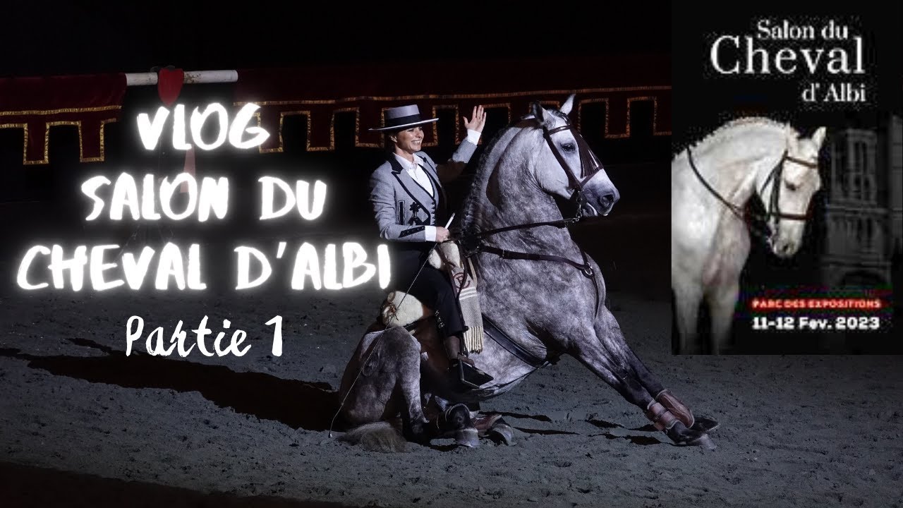 Je vais au Salon du Cheval d'Albi 2024 {spectacles équestre}