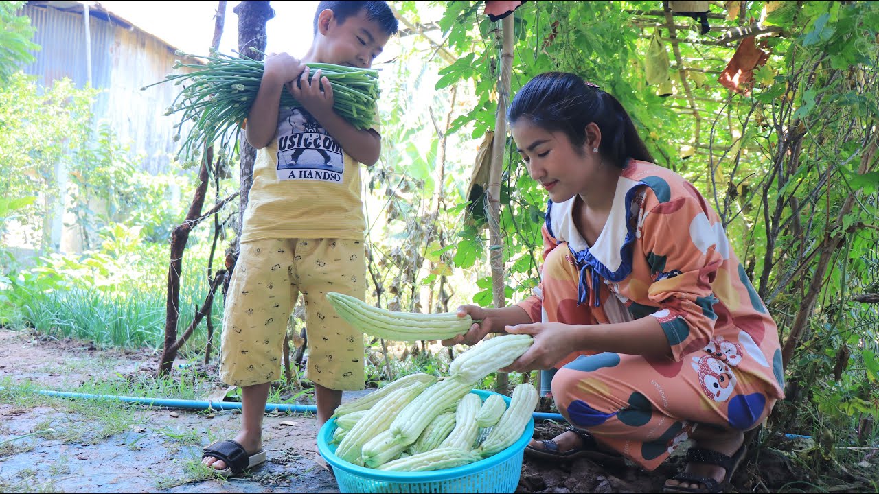 Sreypov Life Show: Seyhak and mommy harvest garlic flower and bitter gourd for cooking