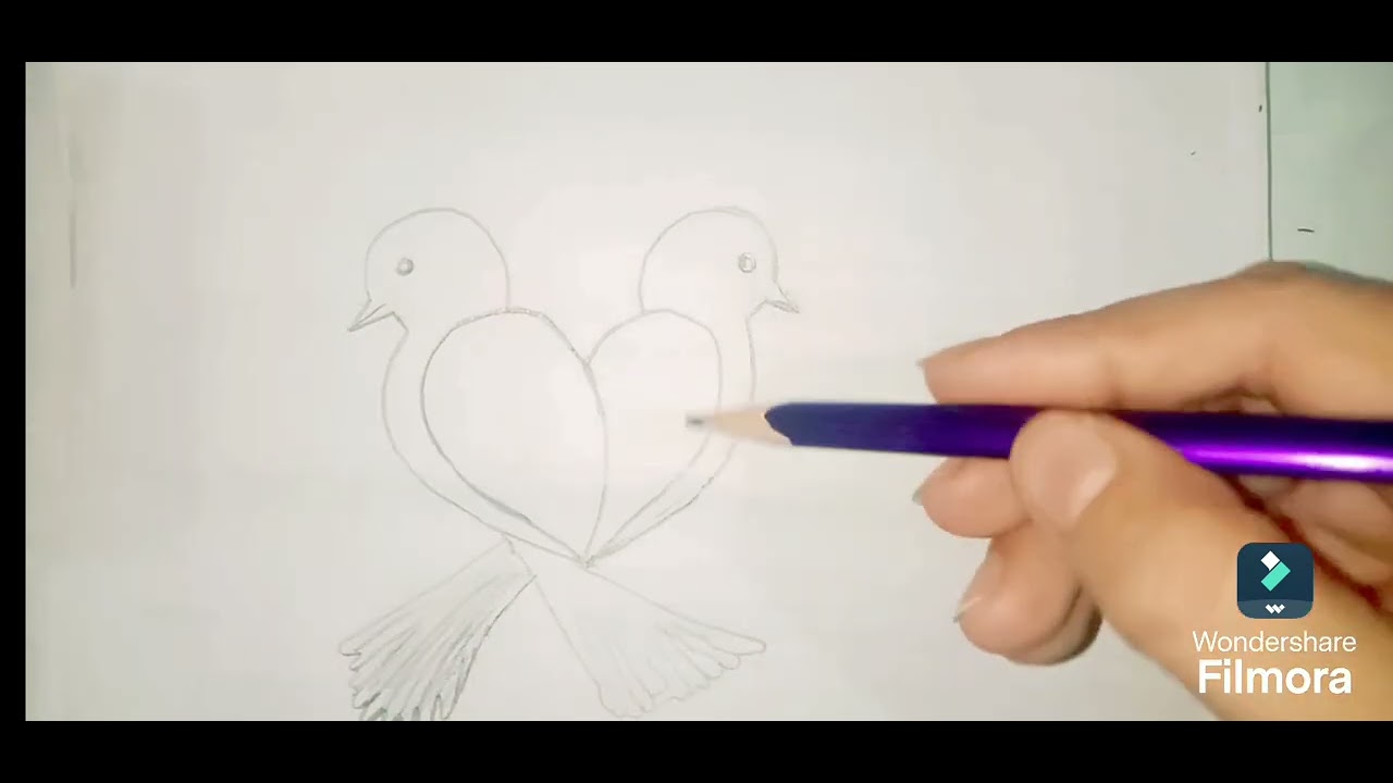 love birds # beautiful birds # viral video# creative sara