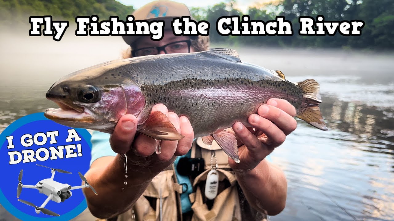 A Monster Rainbow Trout On 7X  | Tennessee Fly Fishing