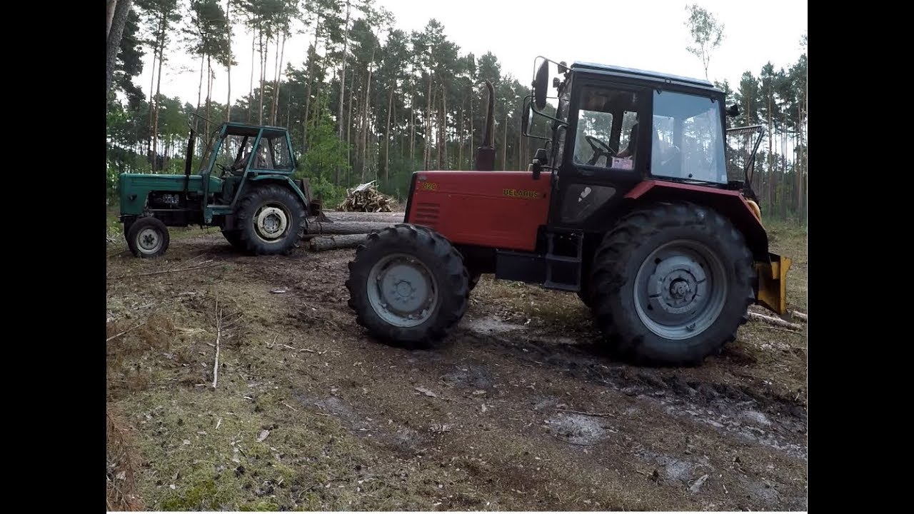 Zrywka na dwa traktory || BELARUS i URSUS C360