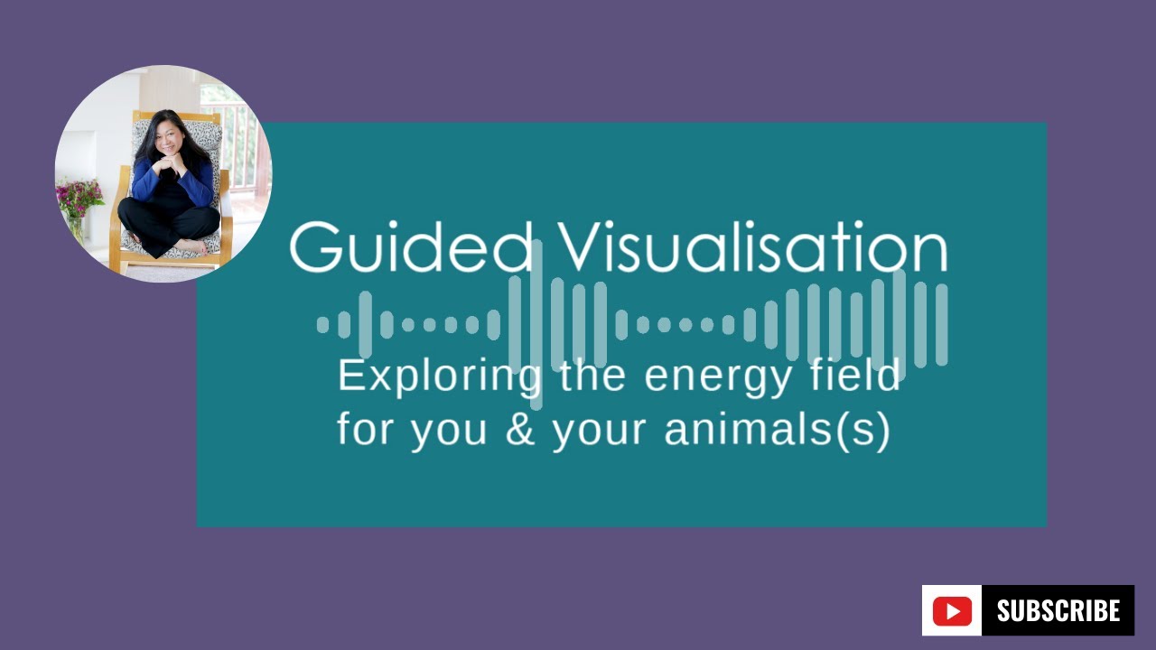 Animal Communication Meditation | Bubble Visualisation sensing energy between you and your pets