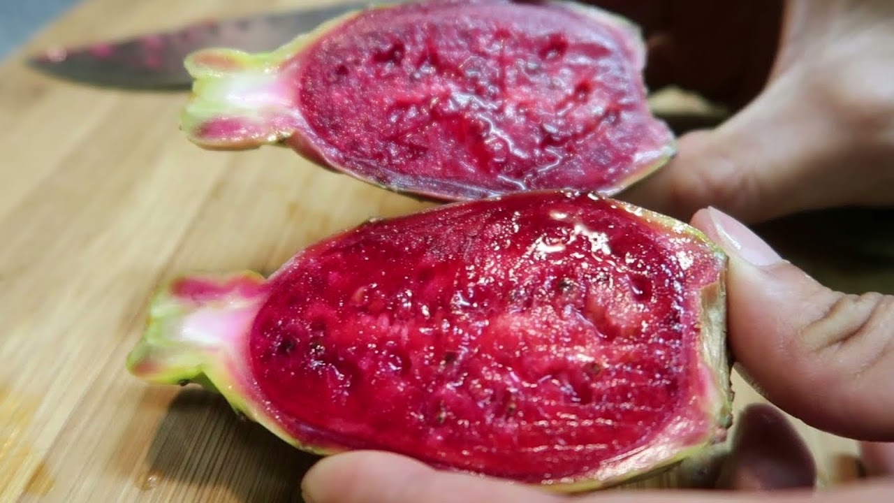 How Nopal Conquered the World