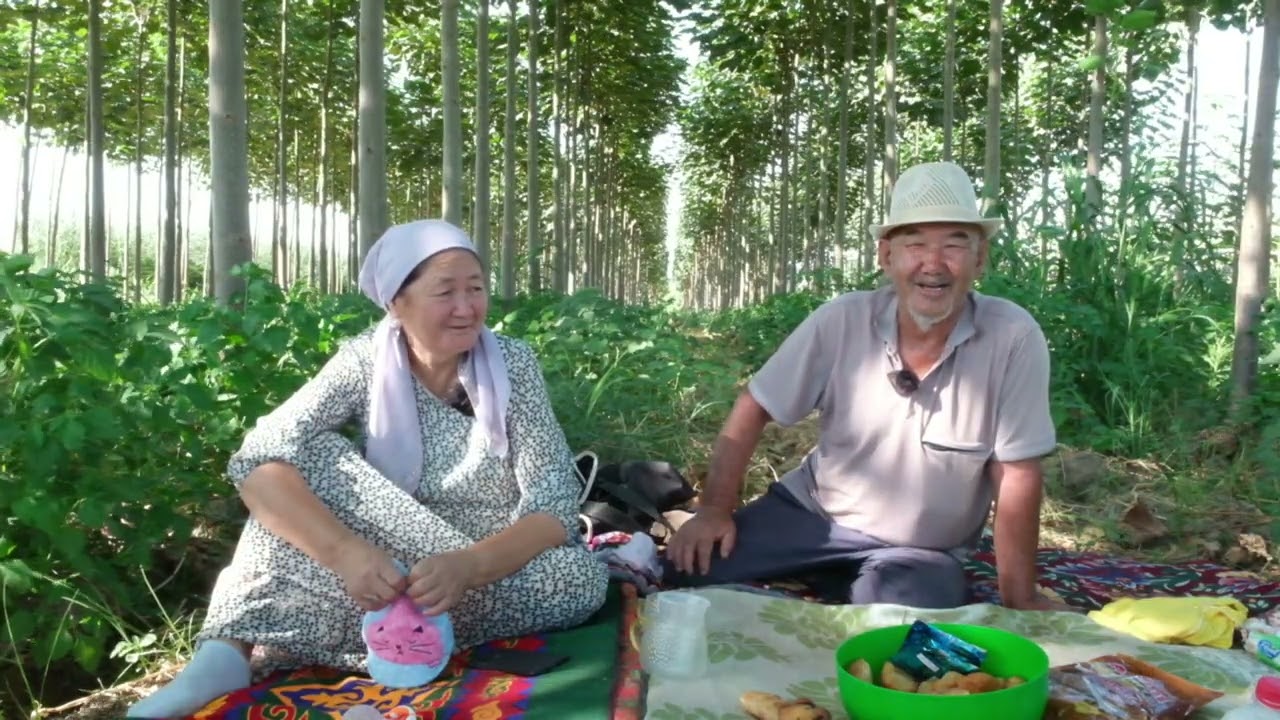 5000 түп павлония ағашын отырғызған ата мен әже