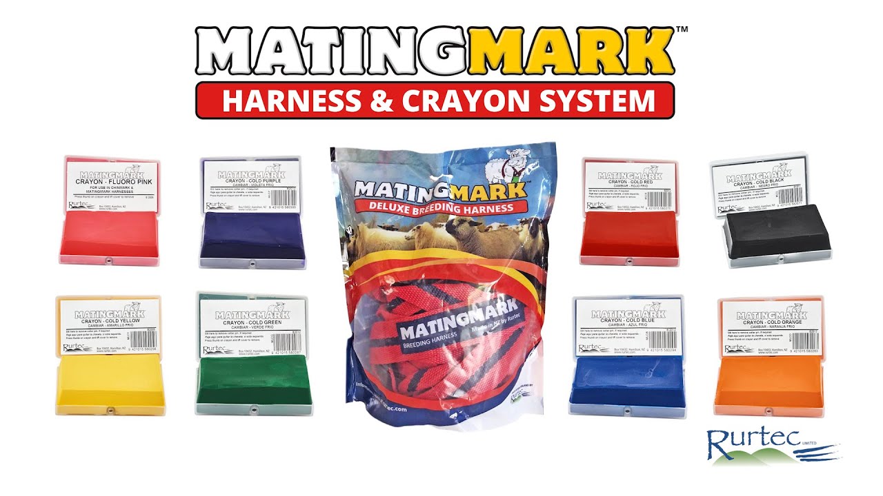 MATINGMARK - The World's Best Breeding Harness and Crayon System for Sheep & Goats