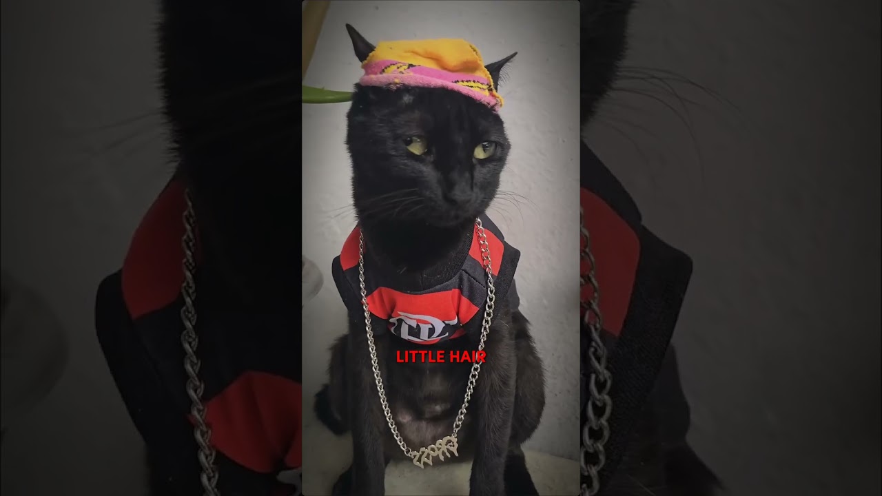#diminuindo a mais cabelinho virei cria de BH