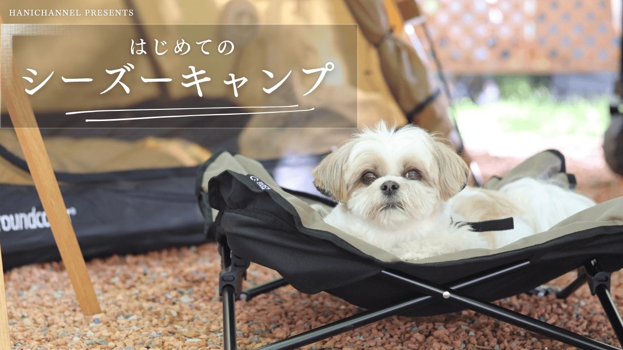 【初挑戦】シーズー飼い主12家族と20ワンコのキャンプ大会が最高すぎた！！ / #四季の森キャンプ場 #犬連れOK #キャンプ初心者