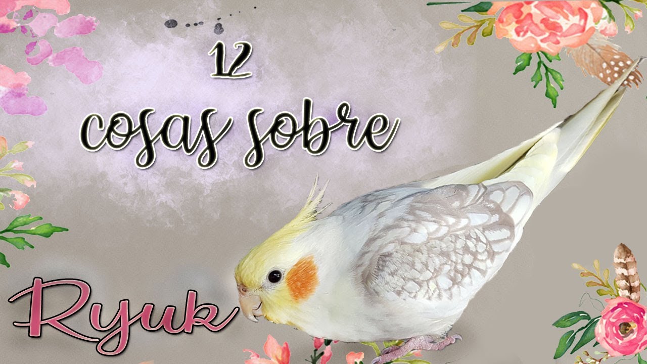 12 COSAS SOBRE RYUK