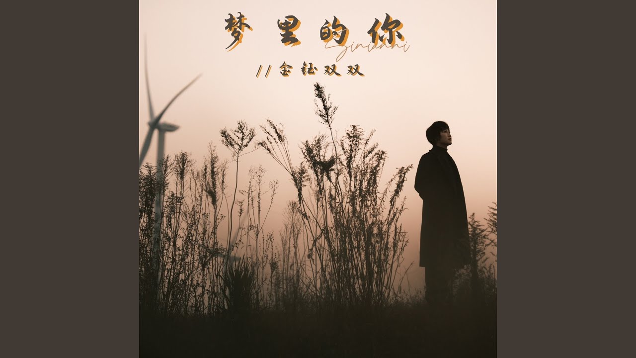 梦里的你（DJ默涵版）