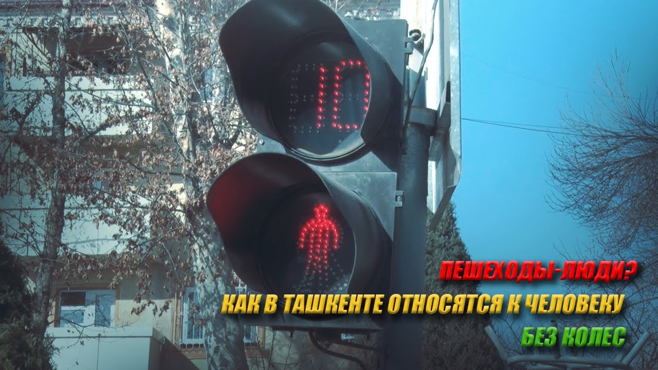 Пешеходы-люди? Как в Ташкенте относятся к человеку без колес