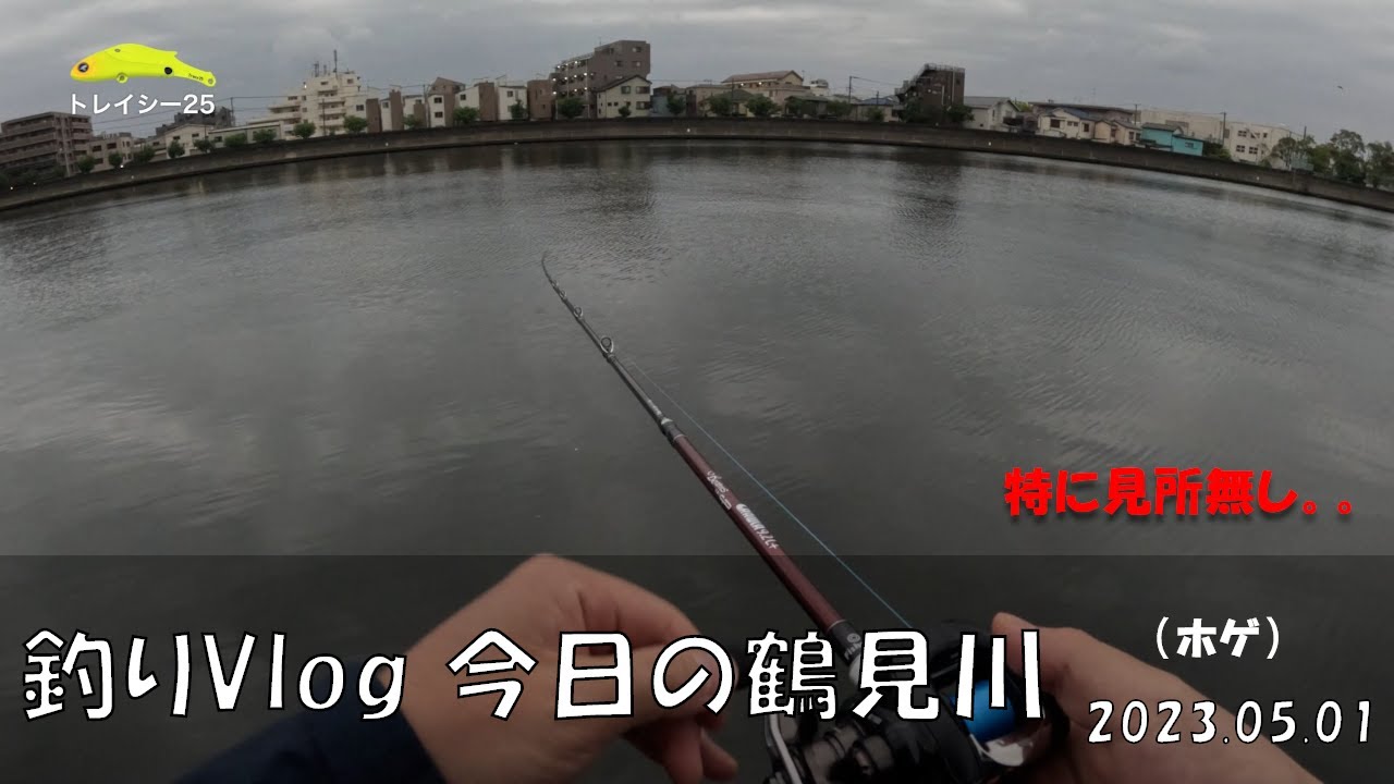 シーバス釣りVlog 今日の鶴見川 2023年5月1日（ホゲ）