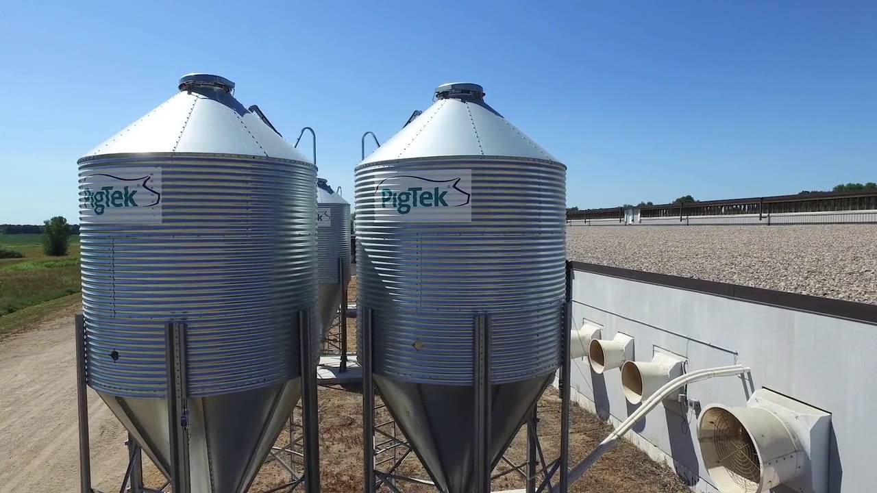 A Look Inside a Modern Sow Farm