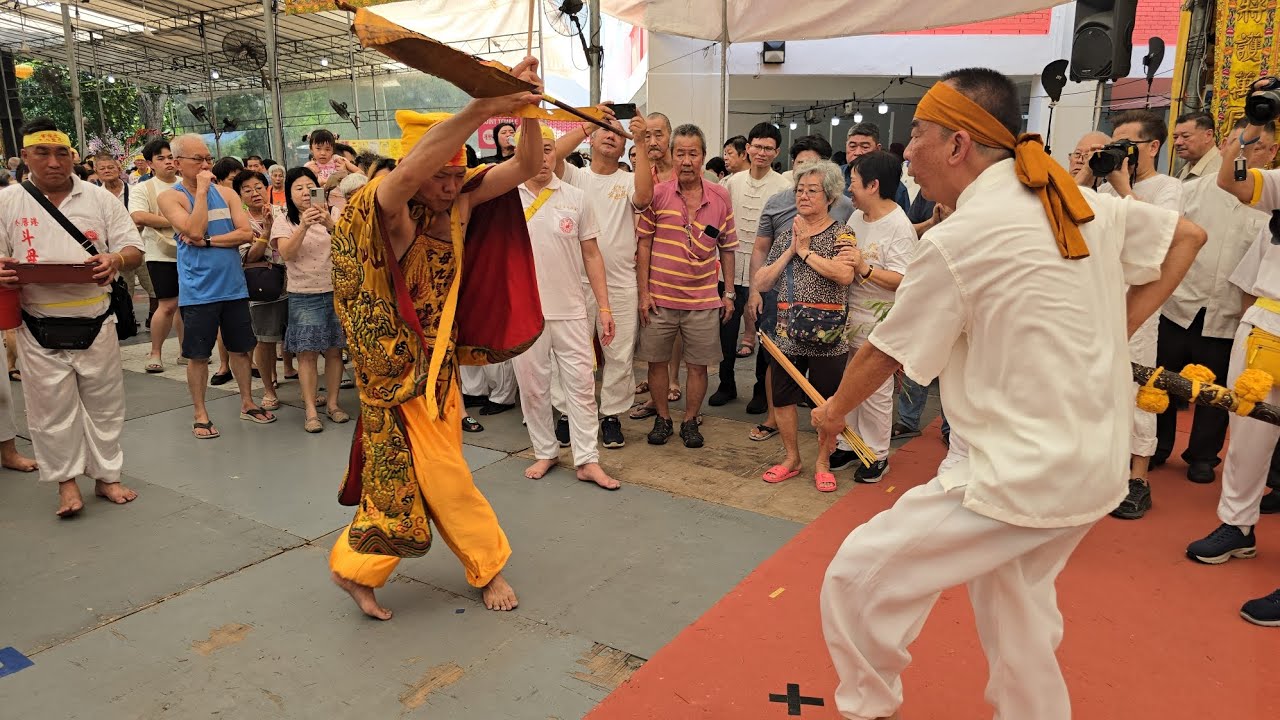 蔡厝港斗母宫九皇九位大帝巡遊進香儀式 Tao Bu Keng Temple Nine Emperor Gods Yew Keng Ceremony 26/10/25