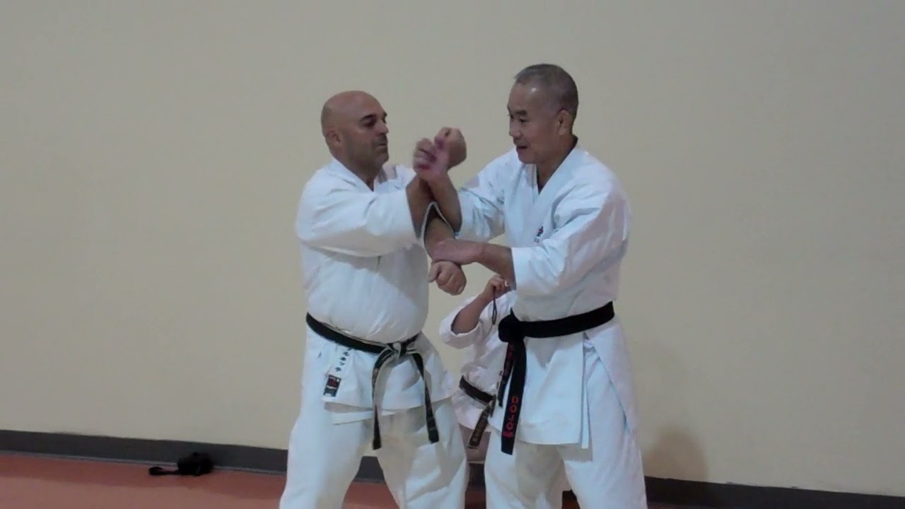 Taira Sensei Explains chudan uke
