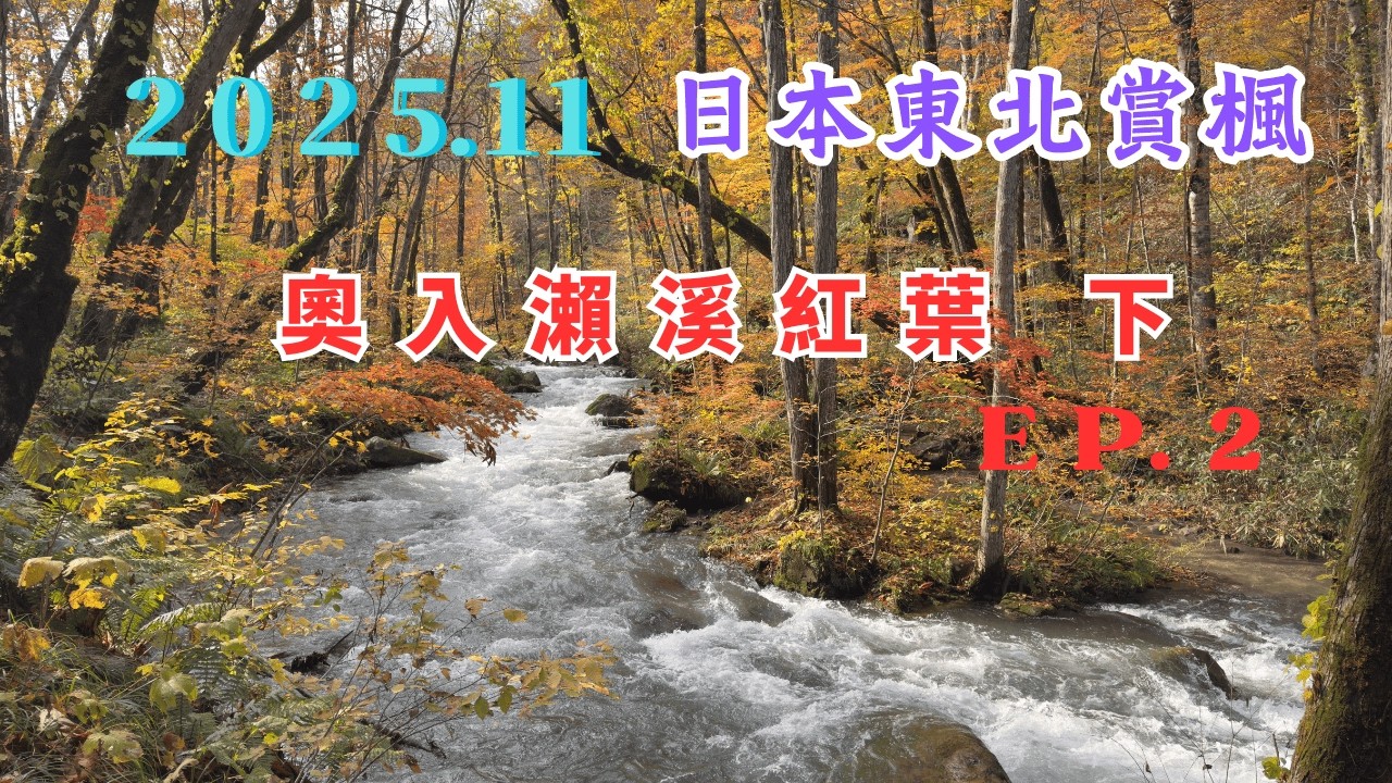 2025.11.3～4  EP.2  十和田湖是橫跨日本青森縣與秋田縣的著名火山口湖，以其深邃湛藍的湖水、四季分明的美景（特別是秋季紅葉）及周邊的奧入瀨溪流聞名。