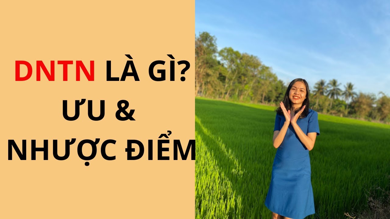 Doanh Nghiệp Tư Nhân Là Gì? Ưu Và Nhược Điểm