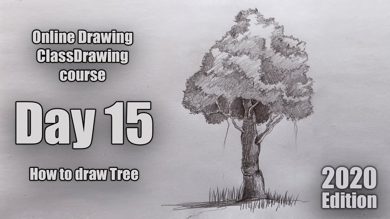 Drawing for Beginners - Step by Step | Day - 015 | How to draw Tree