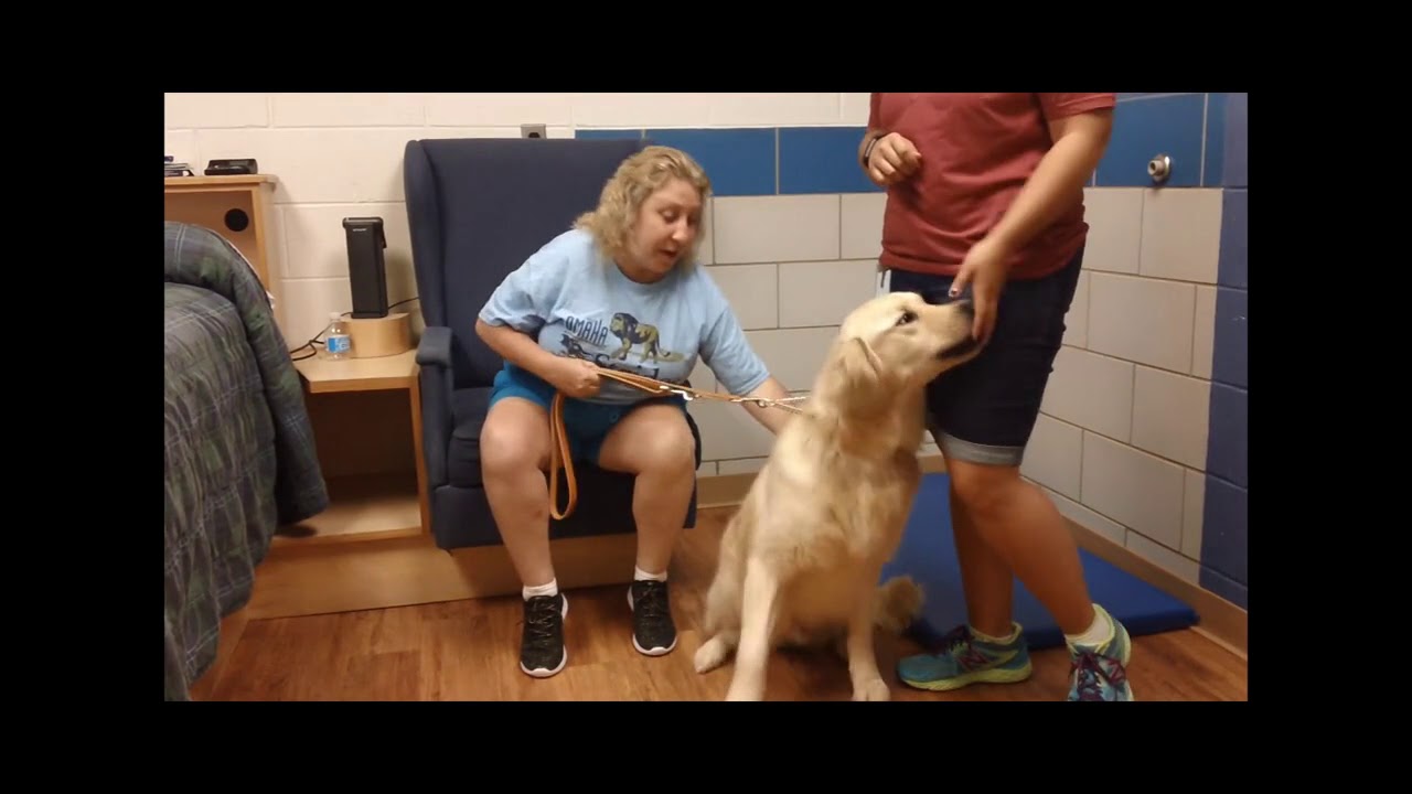Leader Dog Vlog 2, Meet Alexander Graham Bell