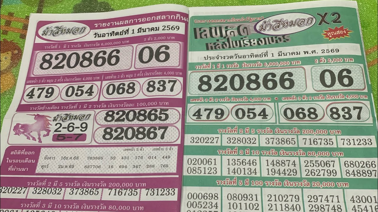 ม้าสีหมอกใบม่วงและใบเขียวงวดวันที่16/3/69มาแล้วครับรับชมได้เลยนะครับ