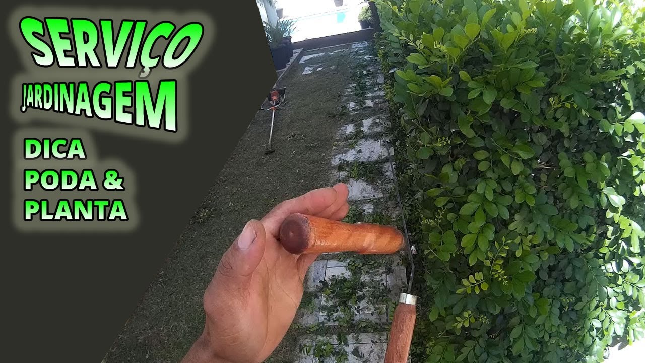 Serviço de jardinagem (como podar cerca-viva)