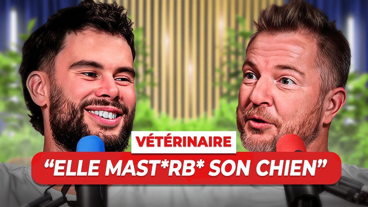 NICO VETO : La vérité sur le métier de vétérinaire ...