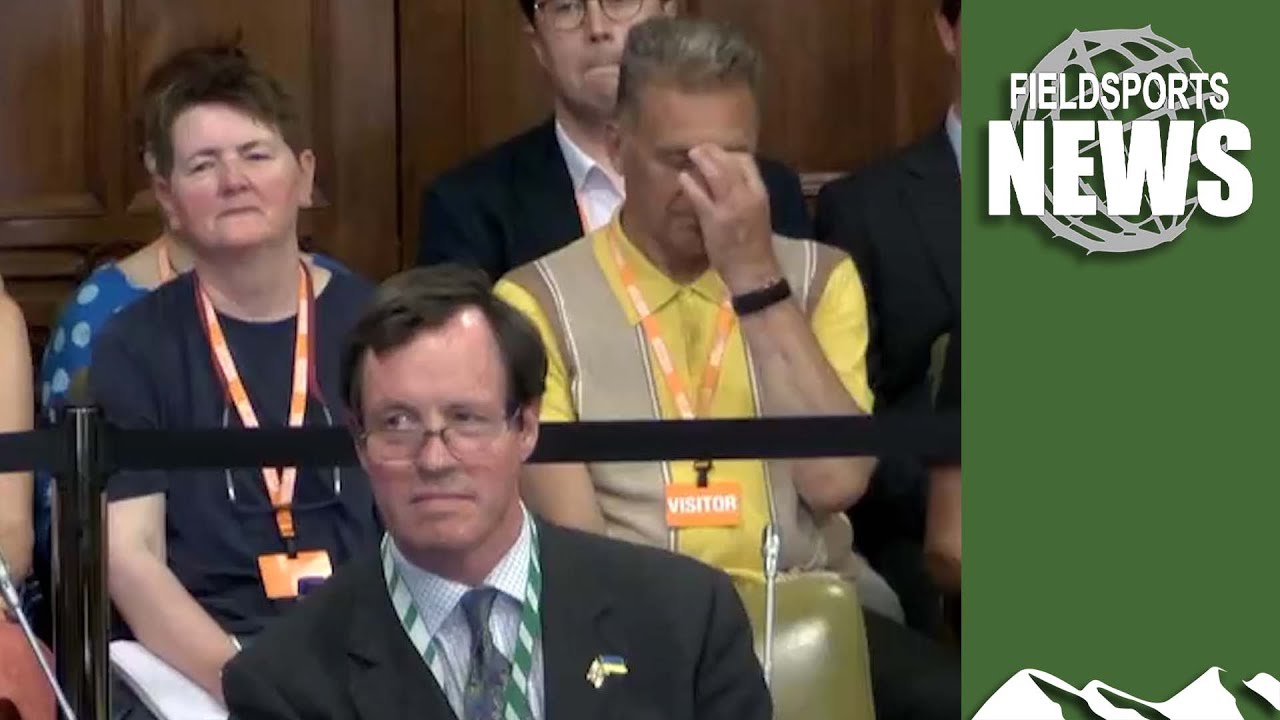 Shooters win grouse shooting debate at Westminster, 2025