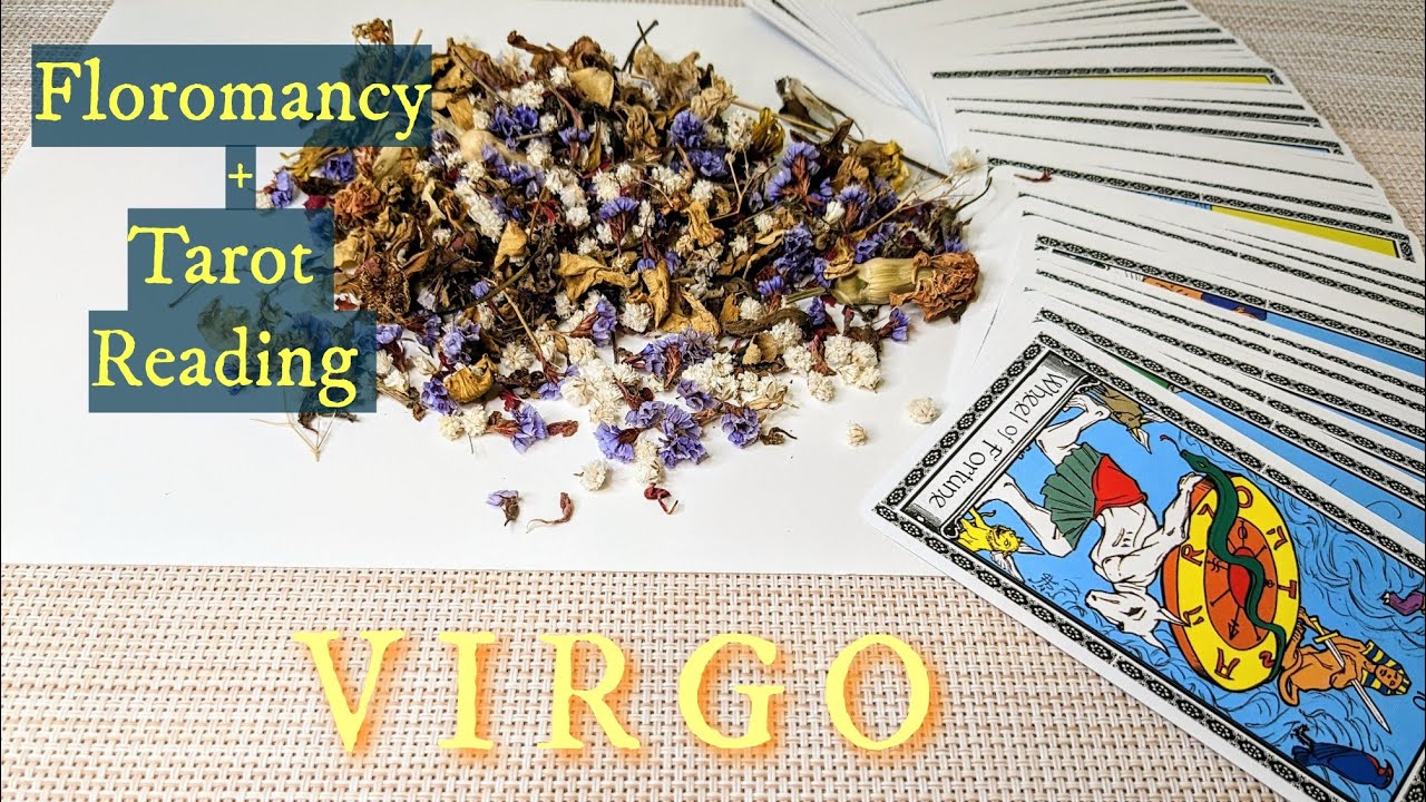 VIRGO♍You Have No Idea How Much Bigger & Better This is Going to Get! FEBRUARY 13th-19th