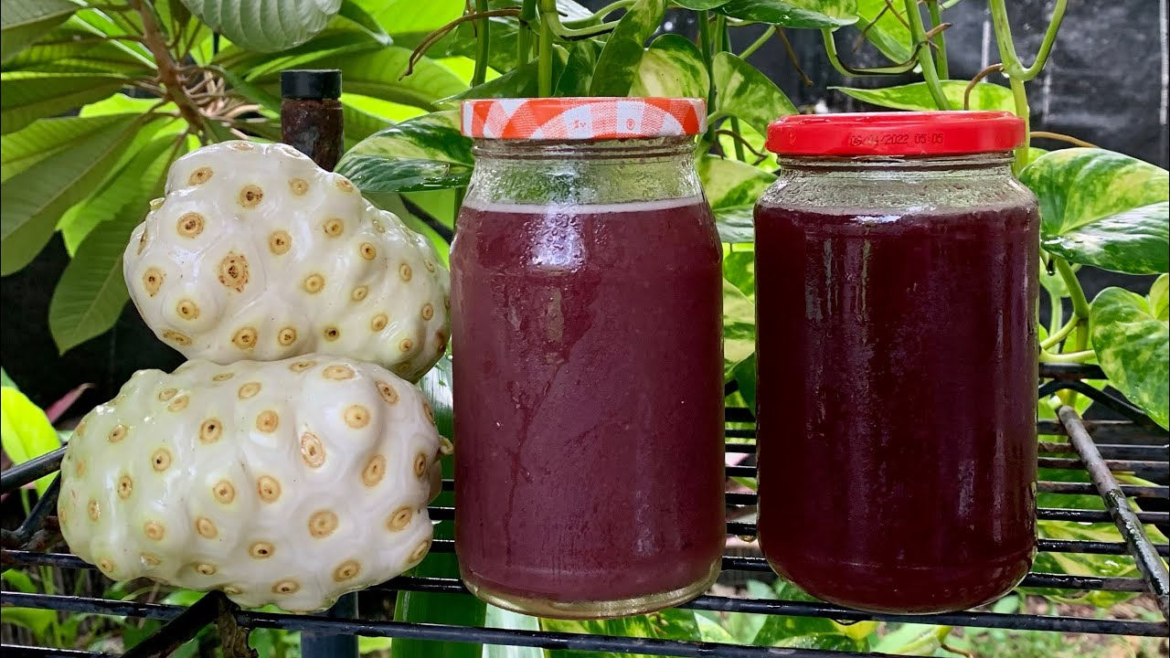 FÁCIL .Como preparar un JARABE de NONI 👌😋😋