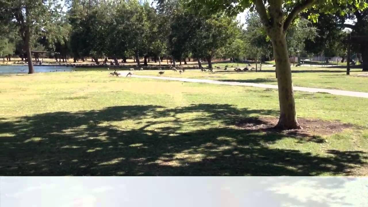 Cannabis (test video) Re upload