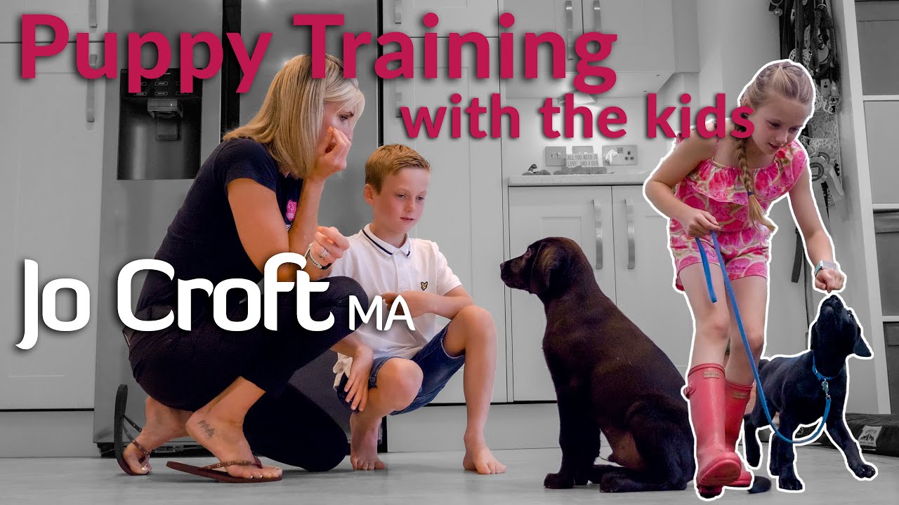 Getting your kids involved in Puppy Training | Puppy daily routine