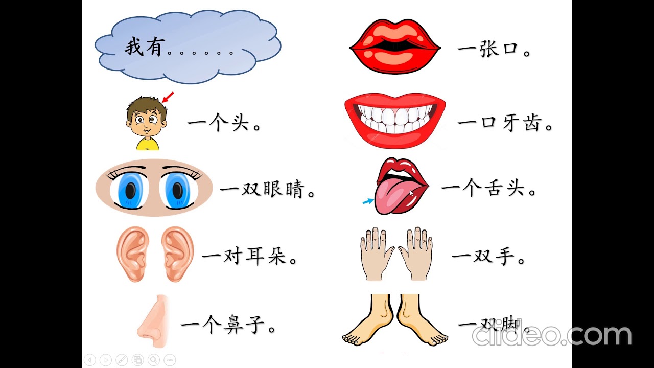 我的头部和身体