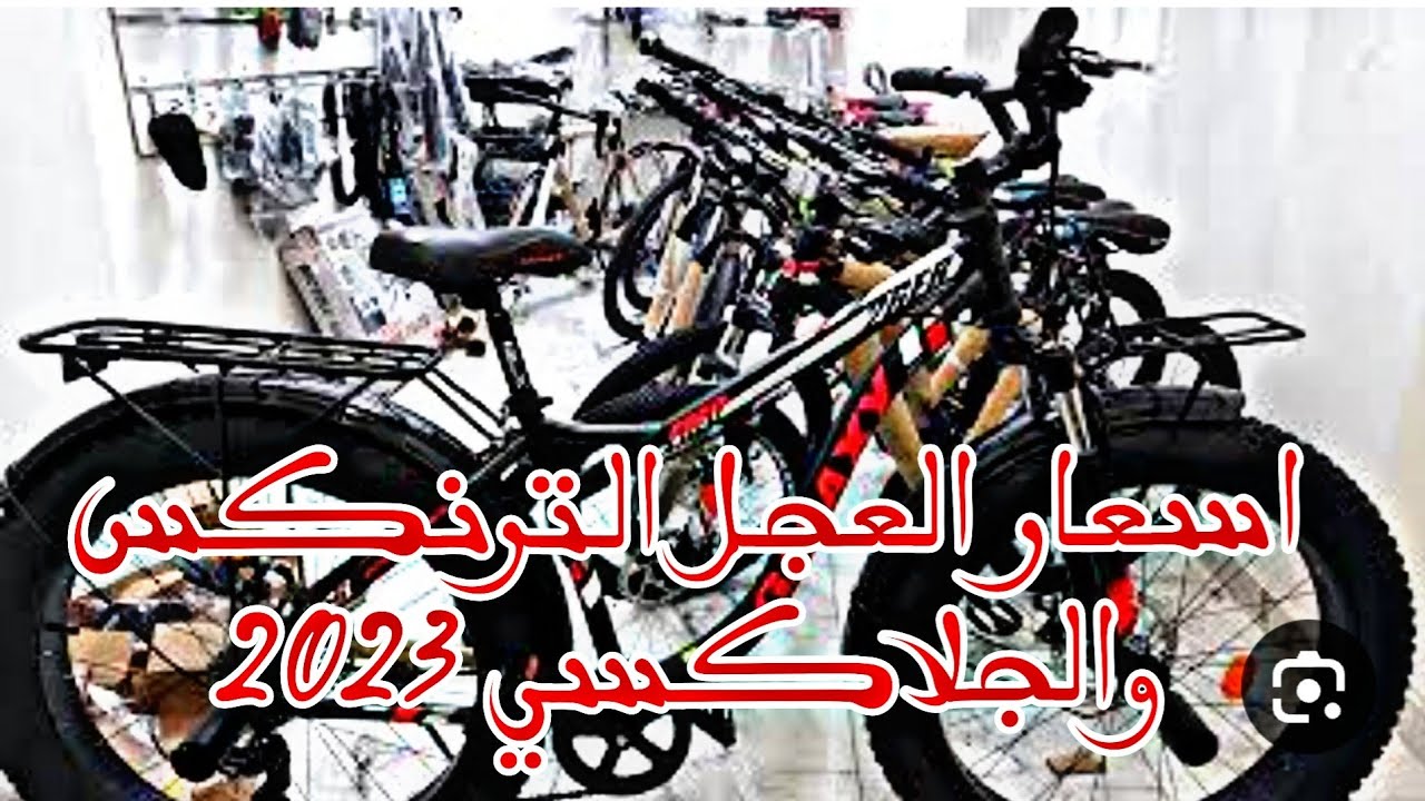 اسعار العجل الجلاكسي و الترنكس شهر 9/ 2023