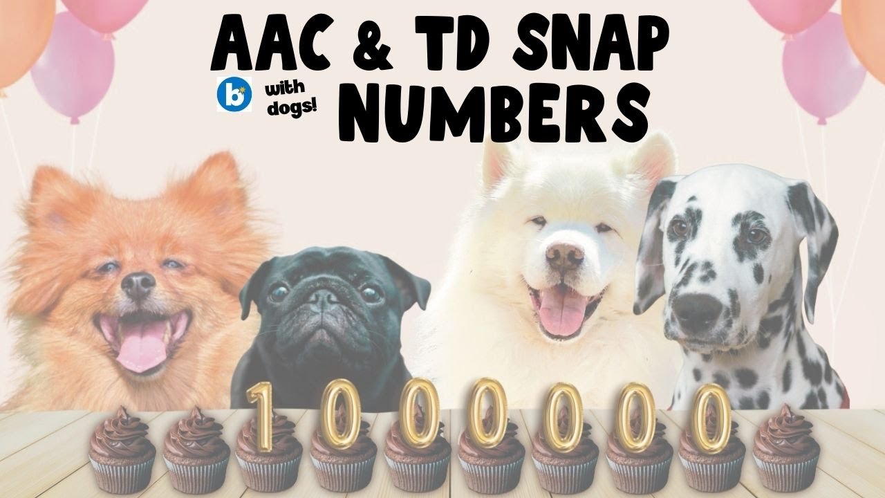 AAC Core Vocabulary and TD Snap Training Companion Tutorial