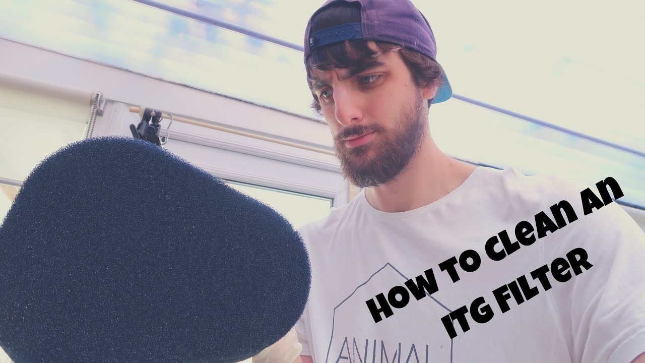 How to clean an ITG Air Filter! - Fiesta ST180