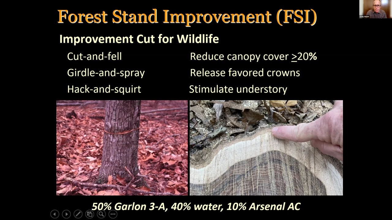 Forest Stand Improvement for Wildlife- Dr. Craig Harper- Episode 5