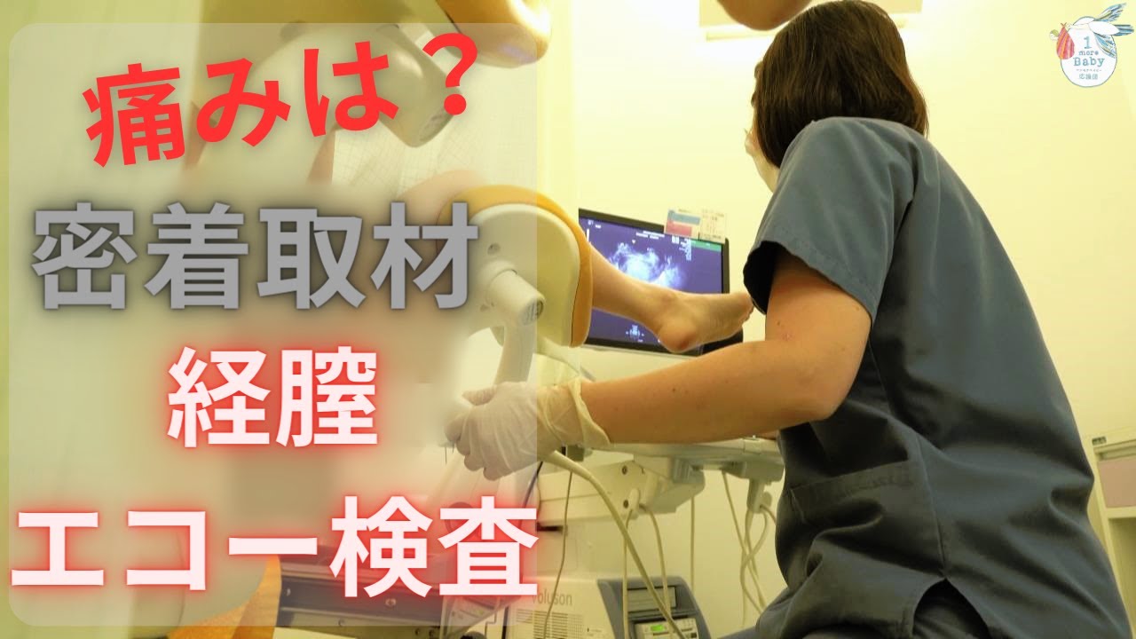 妊活【密着取材】第２弾！何が分かる？　採卵直前の経膣エコー（超音波）検査に同行してみた！
