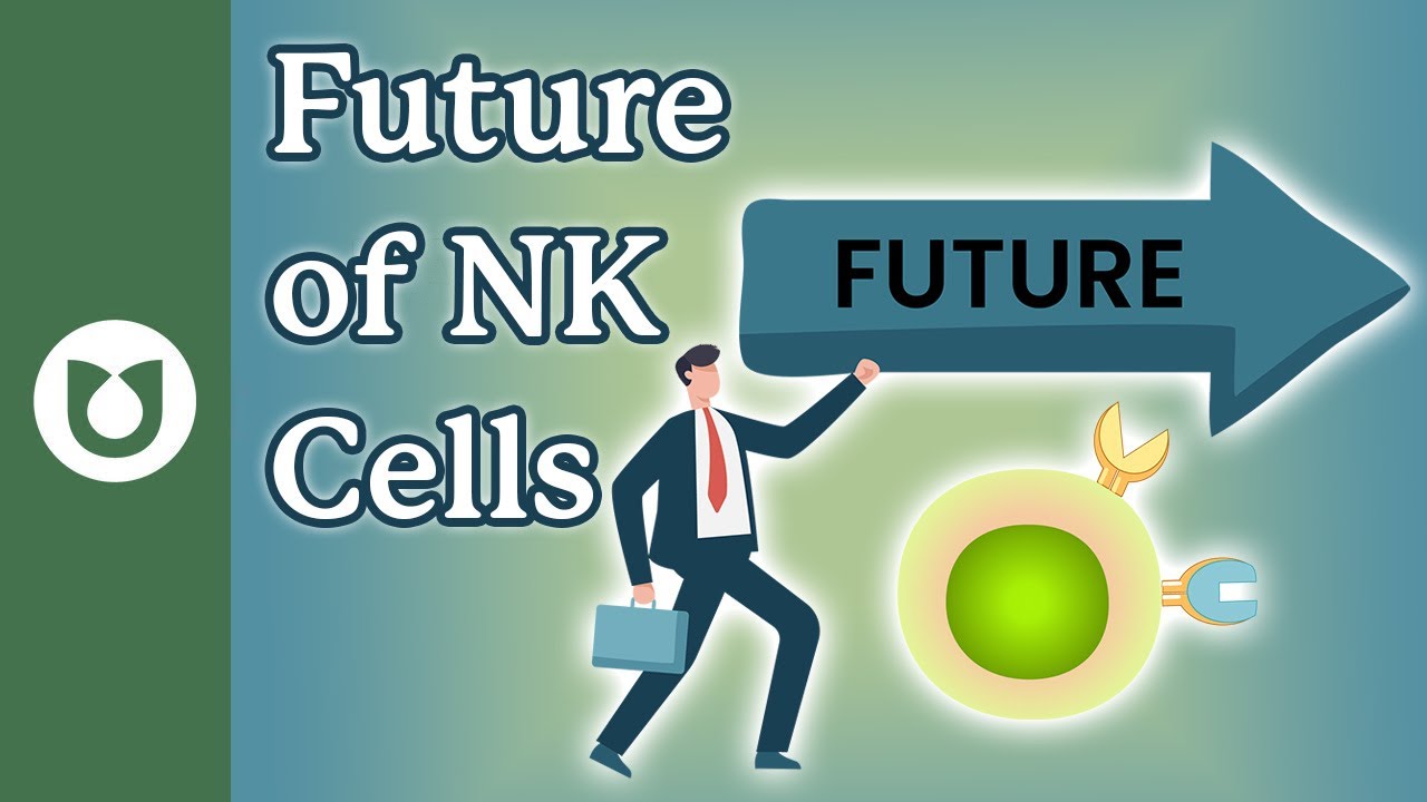 What is the future of natural killer (NK ) cells? 