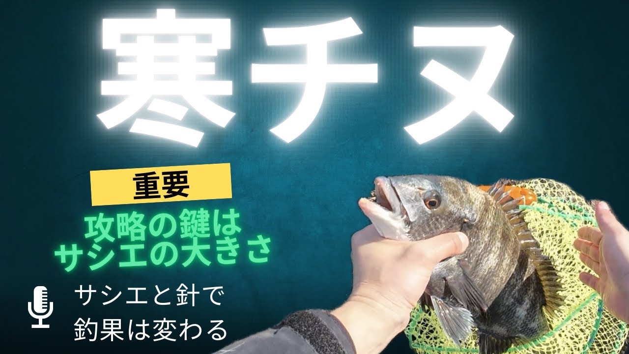 【チヌフカセ】寒チヌはエサと針の工夫が必要