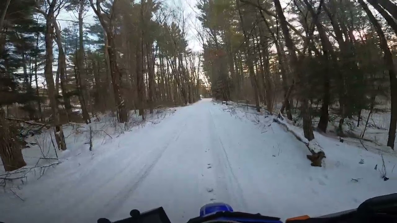 Rut rows under the snow
