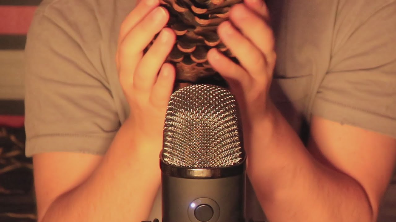 This pine cone will make you fall deeply asleep ASMR