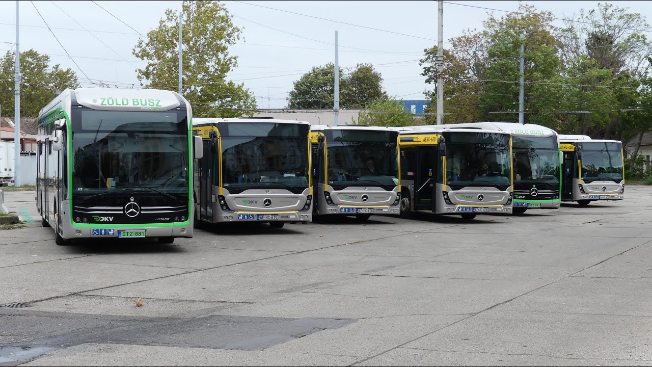 Debrecen Helyi buszai (2024)