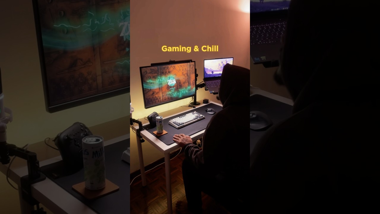 Gaming & Chill with Zelda. 