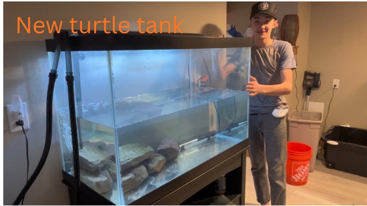 Buying a New turtle ￼tank